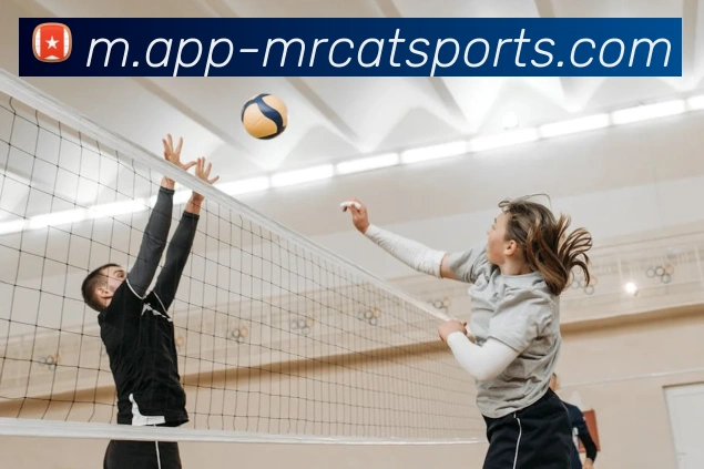 多媒体互动体验